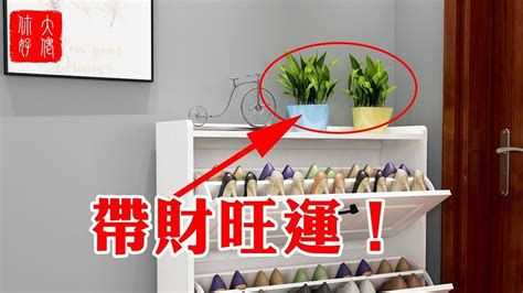 鞋櫃上放植物|種對「這3種盆栽」！防電磁波、廁所除臭、鞋櫃防塵一次搞定